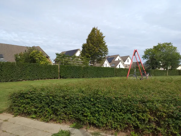 Meerdere meters aan heggen snoeien