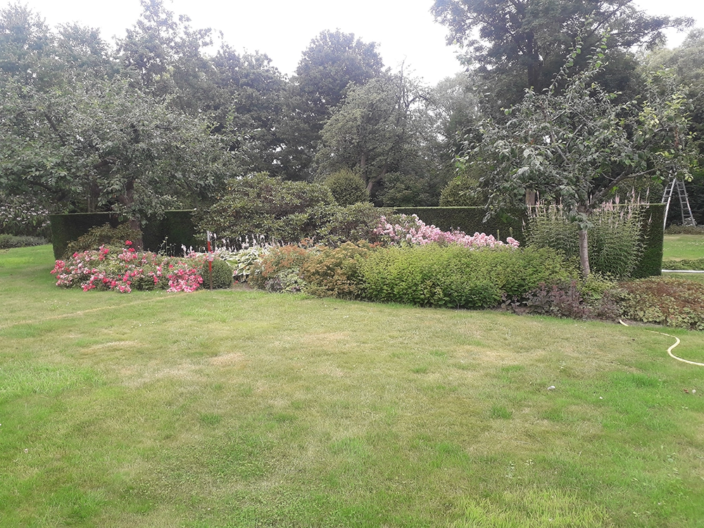 Tuin groot onderhoud 500m2 in Oosterbeek