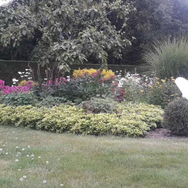 Tuin groot onderhoud 500m2