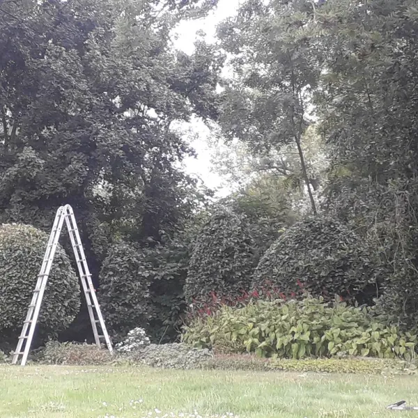 Tuin groot onderhoud 500m2