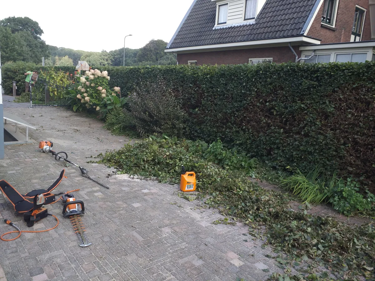 Heggen snoeien en tuin onderhoud in Rheden