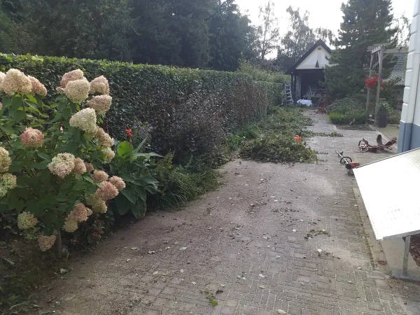 Heggen snoeien en tuin onderhoud in Rheden