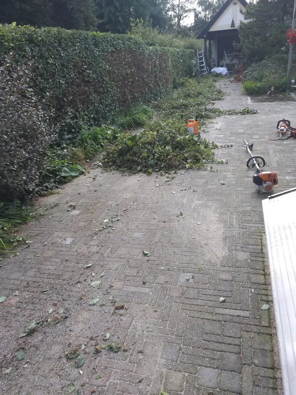Heggen snoeien en tuin onderhoud in Rheden