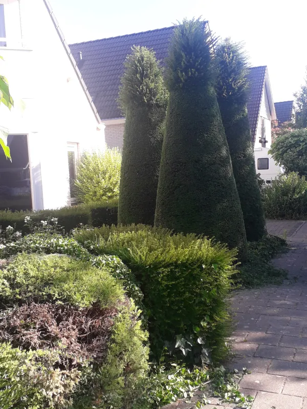 Volledige tuin weer gereed gemaakt voor de zomer