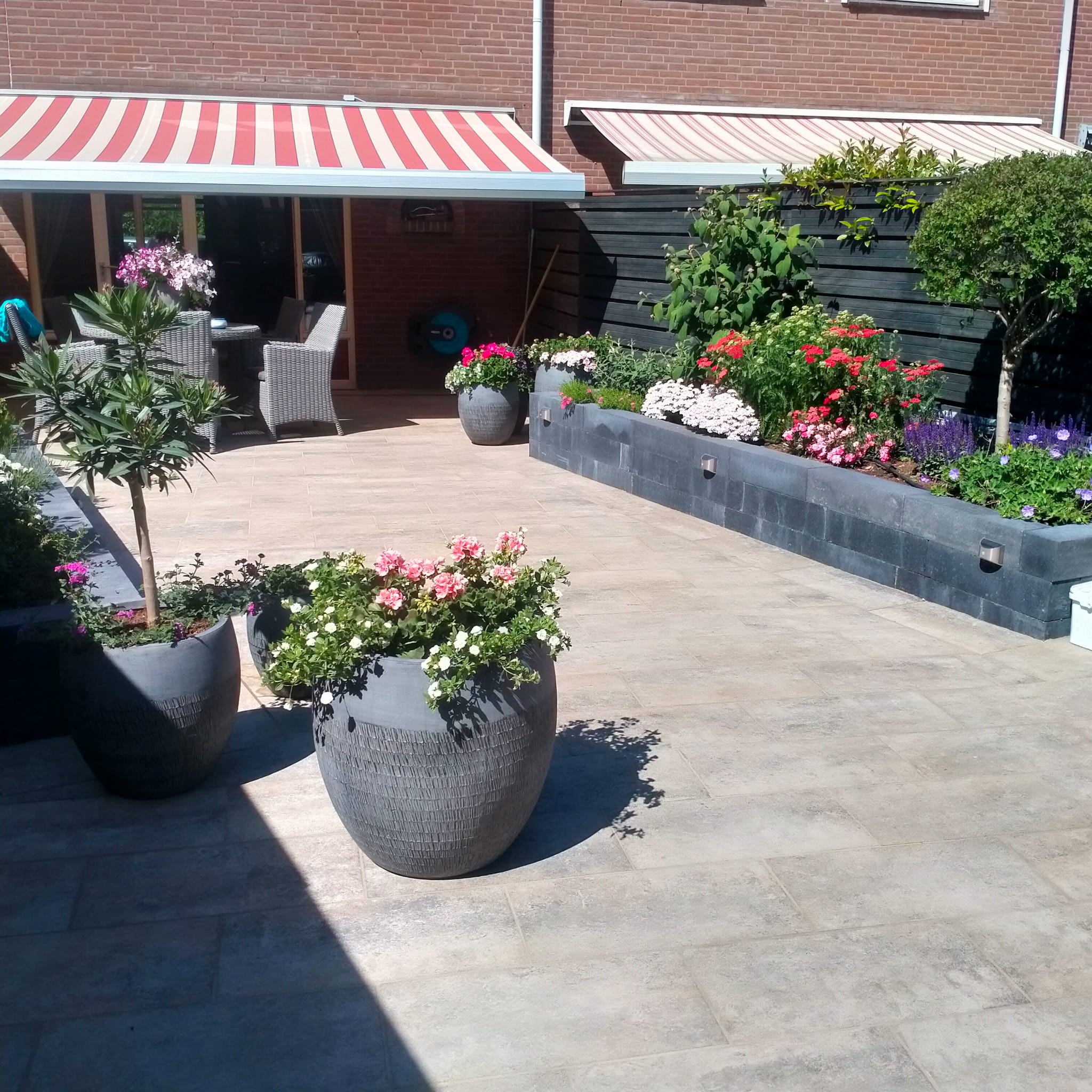 Volledige tuin renovatie in Velp