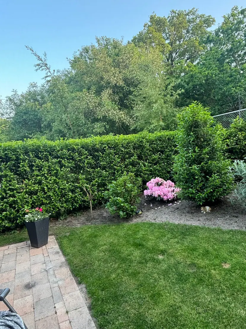 tuinonderhoud in Ellecom
